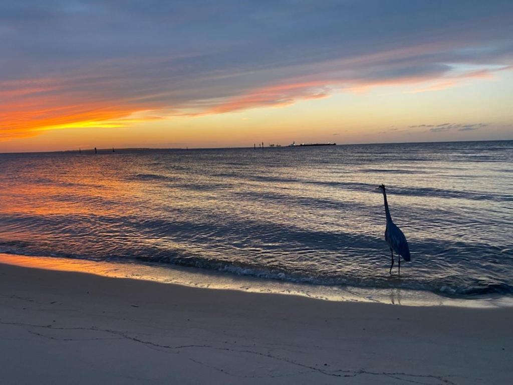 Budget Friendly Condo Perfect For A Romantic Getaway Within Walking Distance To The Beach! Gulf Shores Ngoại thất bức ảnh